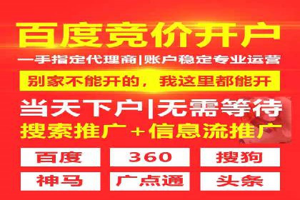 谷歌竞价广告在电商行业的运用案例