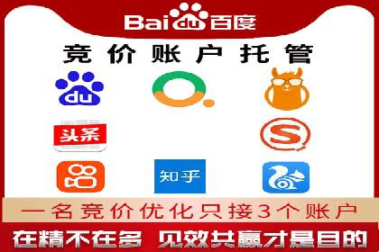 SEM托管服务，成功案例深度分析